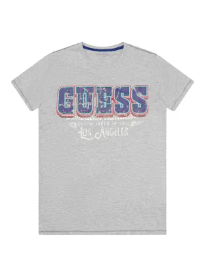 Grey American Tradition Logo T-Shirt (7-16)