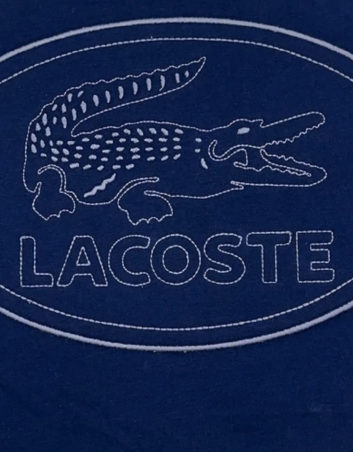 Men's Crew Neck Embroidered Logo Cotton T-shirt Blue