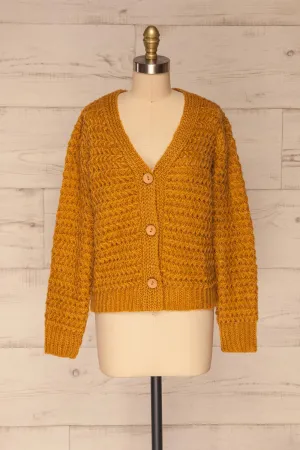 Ozimek | Button-Up Knitted Cardigan