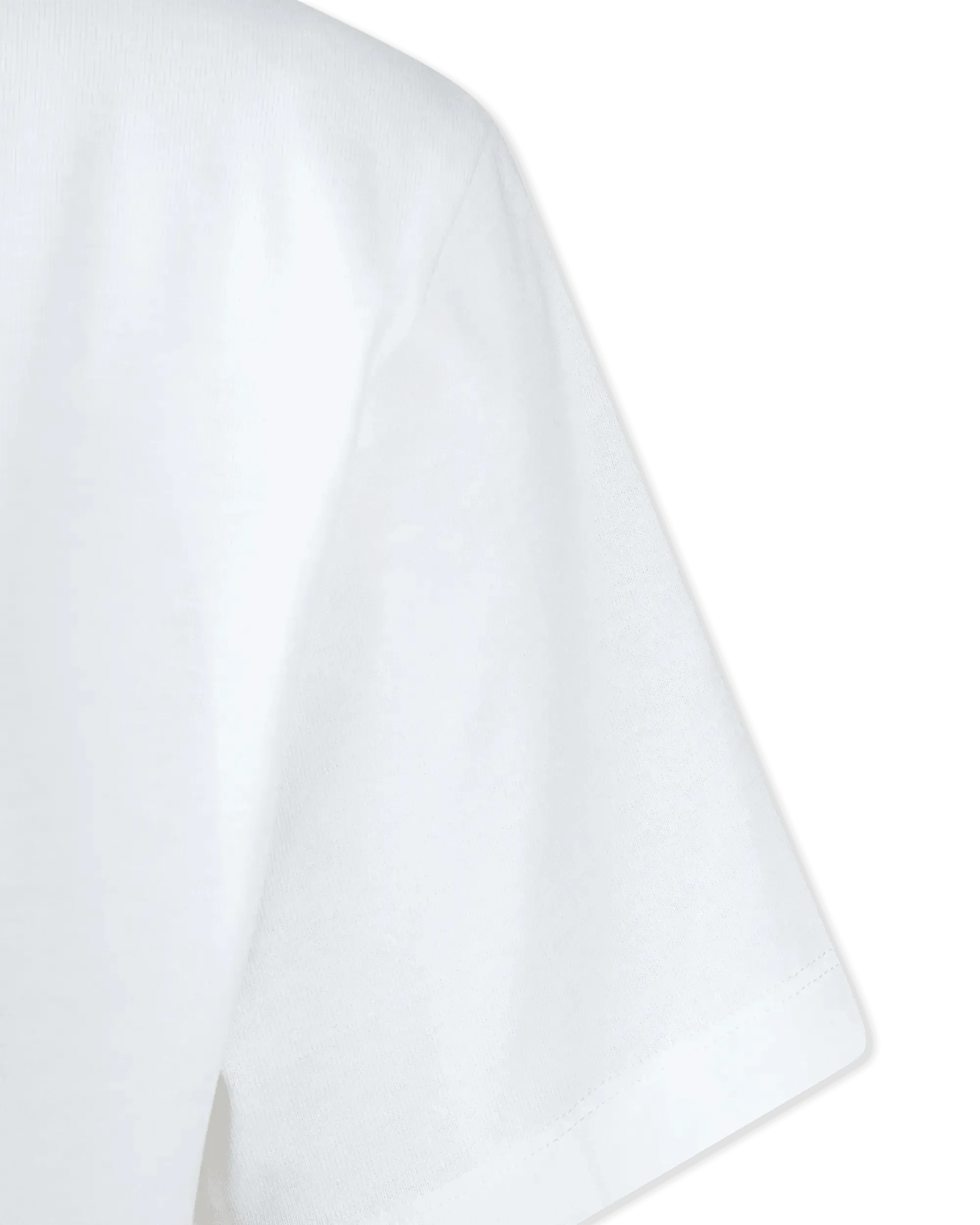 Tiger Seasonal Loose T-Shirt